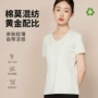 柔软新款女士透气t恤