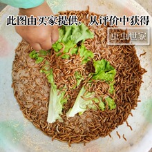 �S���x����x ���x�r���x�N�x �Bʳ�~ʳ�}���������~�D