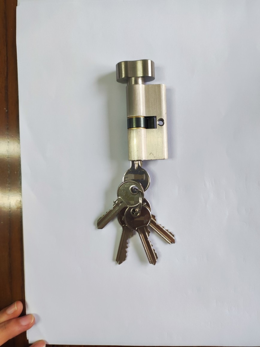 欧标插芯门锁芯旋钮单开