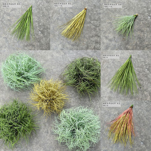 �ٲ݆�֦�Ѳݲ݅�ˮ��ֲ�ﾰ�^���������b@ˇ�쾰�ݶѲ݈F