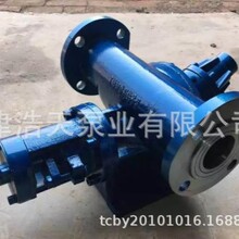餐厨垃圾转子泵TDZQ 油漆 涂料 树脂转子泵 糖浆 糖蜜转子泵
