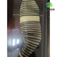 �����ʷŴ�ģ�� ����������̌W���� �̌W�x���������