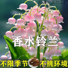 ļƷmѿˮBBͥԺԾGֲ҃ȻͺB