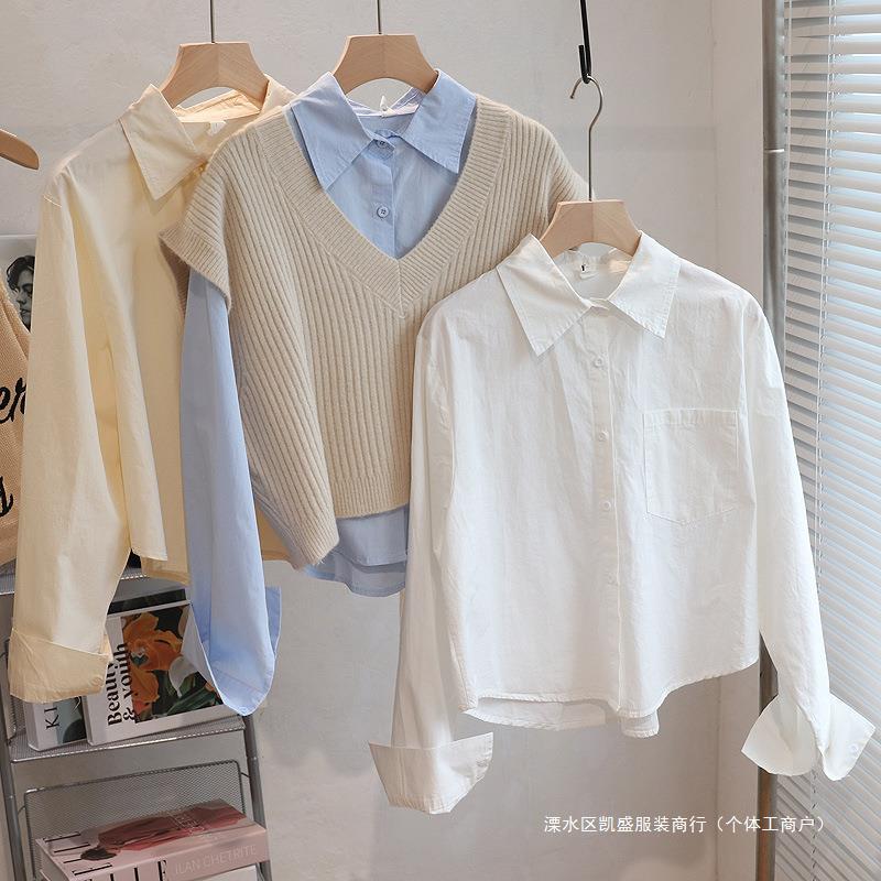 Short Shirt women's autumn and winter cotton new style small inner wear stacked shirt long sleeve sense niche white top