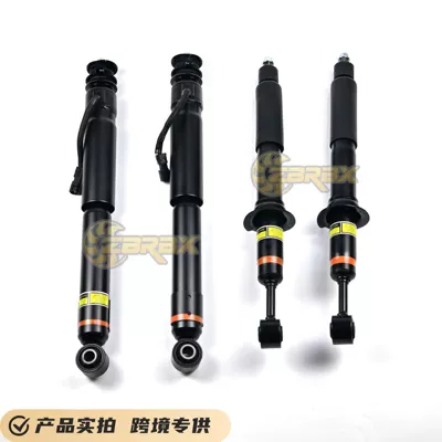 with Electric Features, damping system