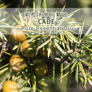 ��ɽ|�M�ڴ̙uľ�η�����ԭ�����lCade�҂��ṩԭ�a���C