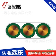 h|늾|BVVB-3*10ϩ^o׹̶O|