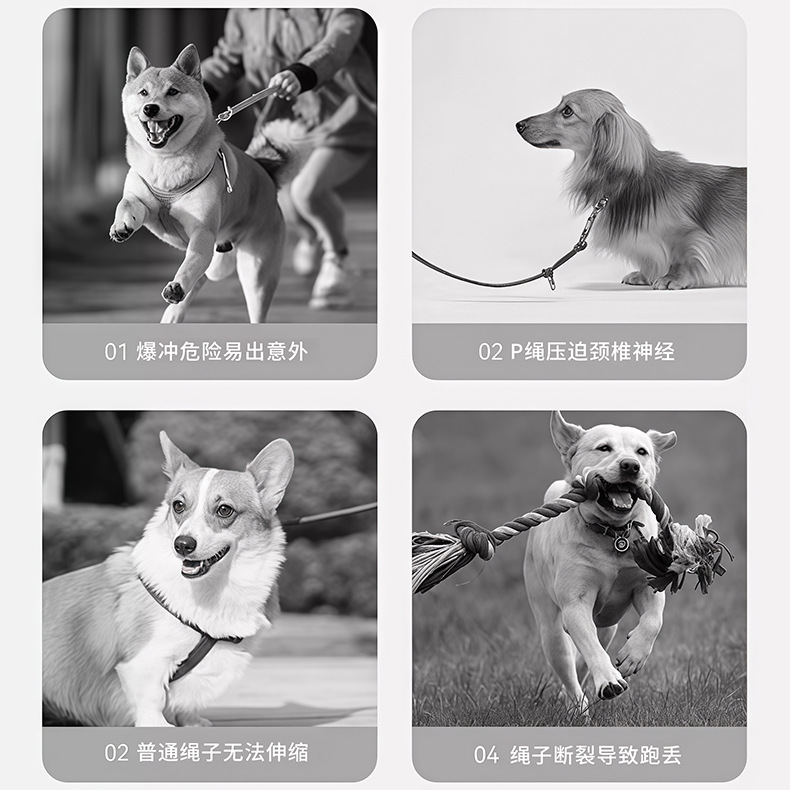 跨境宠物牵引绳自动伸缩按钮超大拉力防爆冲可调节狗绳遛狗专用|undefined