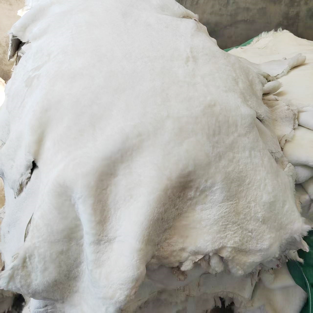 微信图片_20250617101043