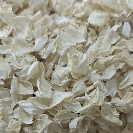 广西南宁横州市茉莉花产地直销，2025年新品茉莉花片