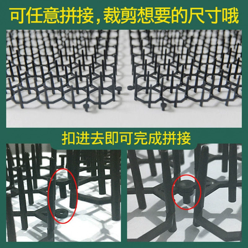 Анти-кошачие гвозди изгоняют кошачьих артефакт на открытом воздухе