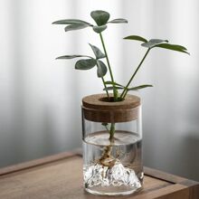 ˮ��ֲ���k���������҃����������_�h��ˮ�B�����՚�ȥ��ȩ