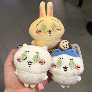 ����������ϵ��С�˞��_��һ�~��Ŀ���ë�q������ż��朿۰����