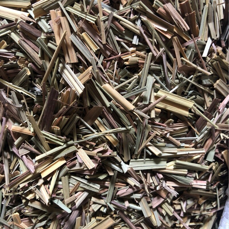 Wholesale Citronella Grass, Lemongrass, Citronella, Lemongrass, Tea Grass, Ginger Grass, Ginger Grass
