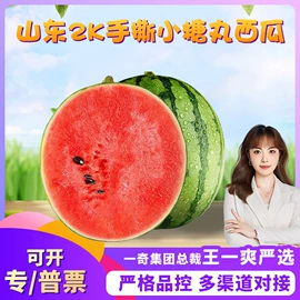 瓜果类;块茎类;苹果