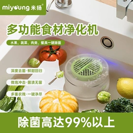 果蔬解毒机