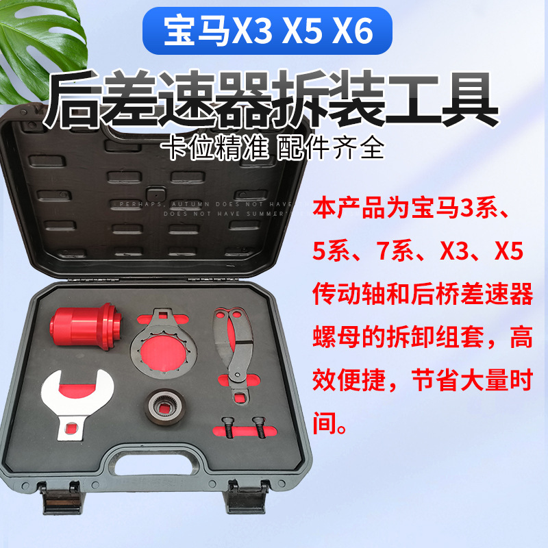 Rear Differential Tool Rear Drive Bridge Tail Tooth Pack Bearing Replacement Drive Shaft Remover for Bmw X5 X3 X6