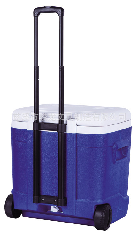 55L