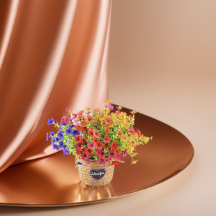 �羳���滨7���ȼ������_�m��������ٻ��ӼҾƵ�ֲ�ﲼ���b�