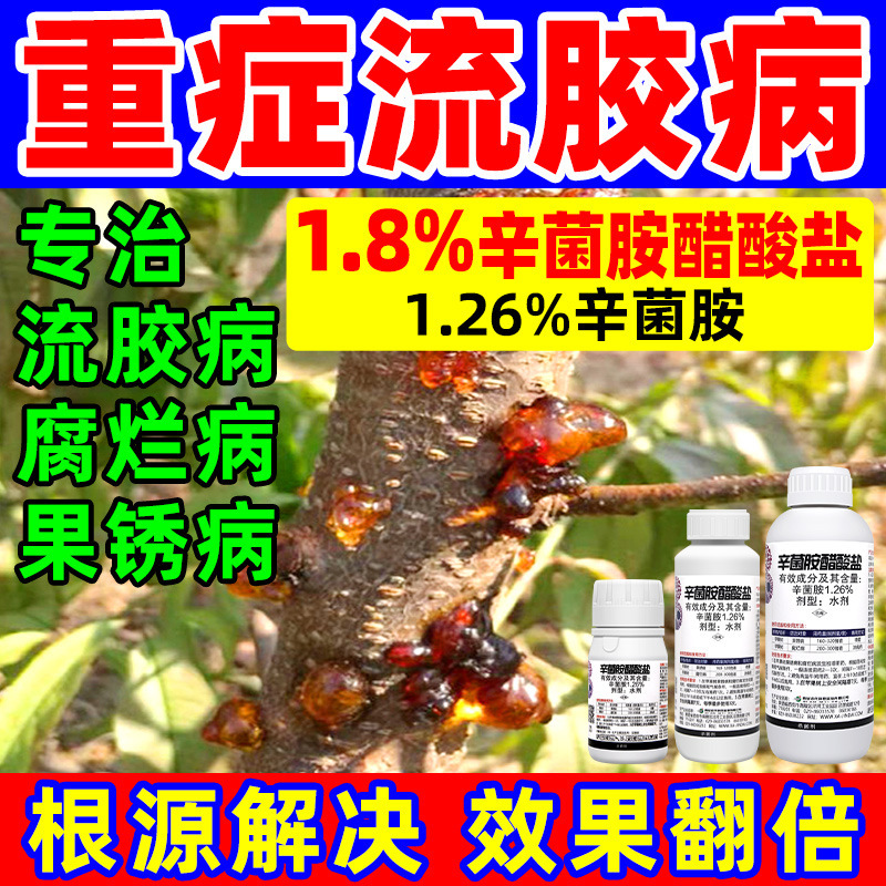 Special Medicine for Peach Tree Gum Disease, Cherry Apricot Tree, Plum Fruit Tree Ulcer, Carbendazim Acetate Fungicide