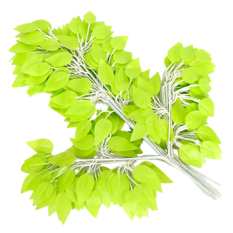 Ruban Banyan feuille vert clair