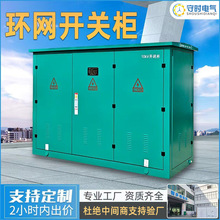 10kv߉hWHXGN15߉_P늙SF6_]♙