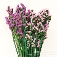 云南永生花勿忘我补血草干花花束DIY配材软装婚庆原材料厂家直销
