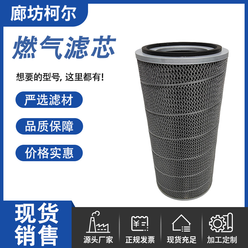 【厂家直销】燃气站G4.0燃气管道滤芯不锈钢燃气滤芯耐用螺纹滤筒