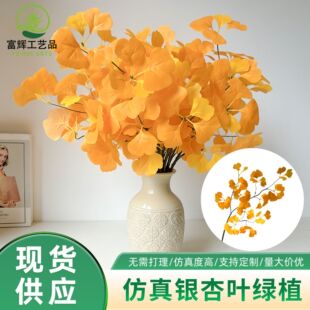 �����y���~�҃��̨�٘��~���~��֦�쾰��c�ٻ��bGֲ�y�Ә��~