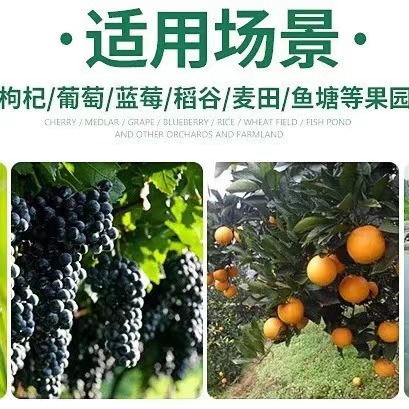 微信图片_20240729131558