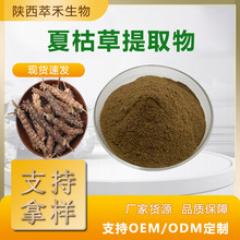 夏枯草提取物50:1 水溶性夏枯草粉 夏枯草浓缩粉 食品级 现货供应