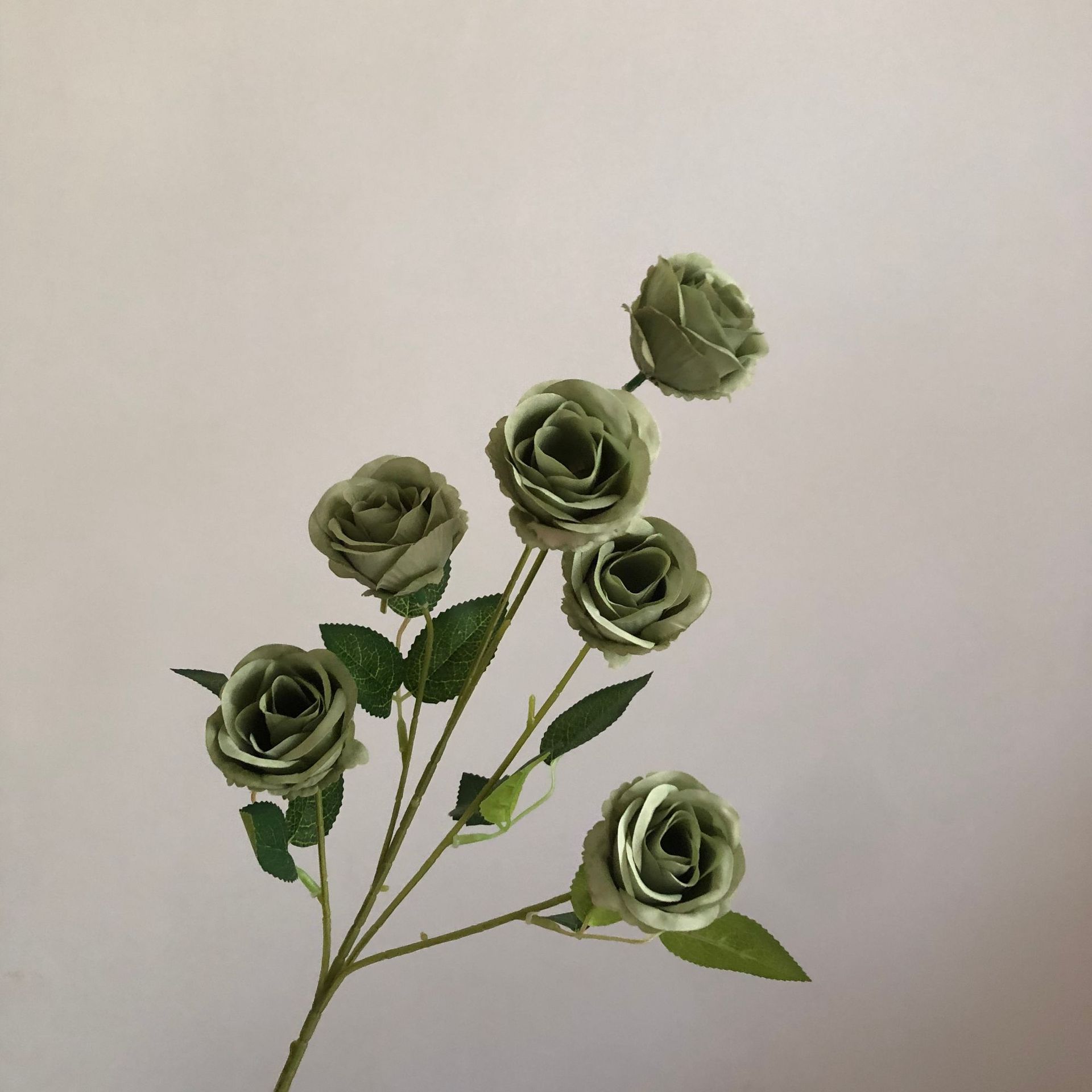 녹색