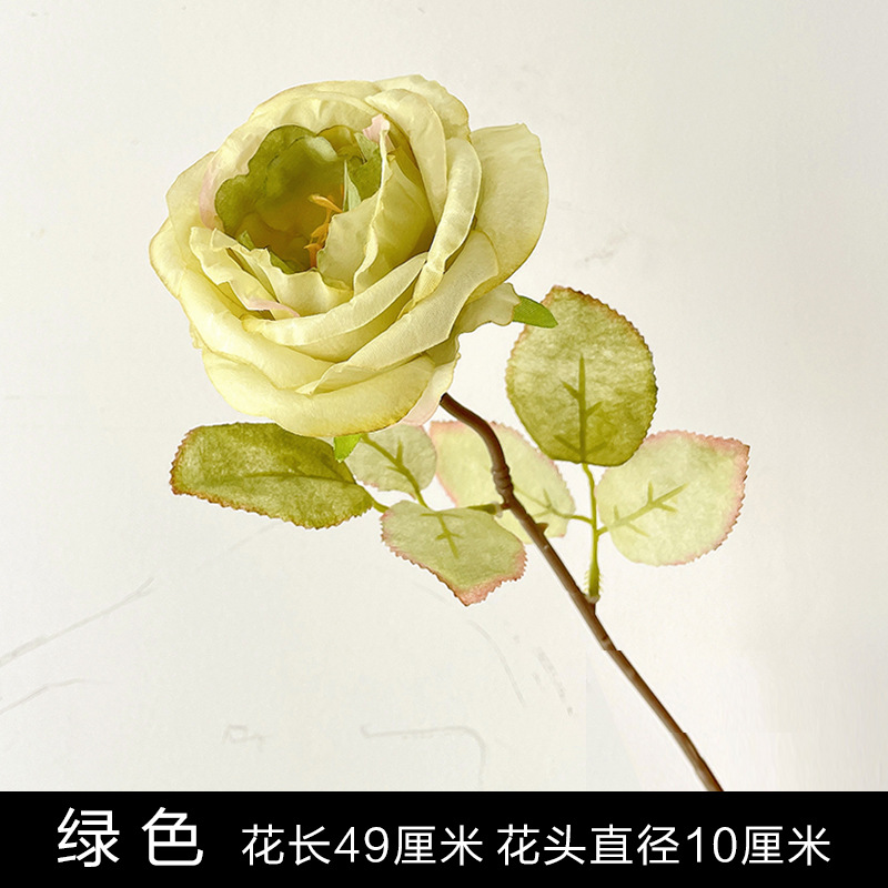 녹색