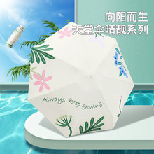 天堂新款53077E五折口袋胶囊小伞防晒防紫外线太阳伞晴雨两用女士