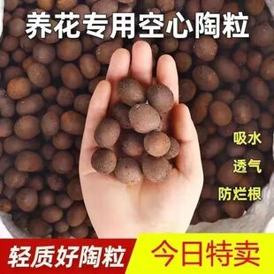 Special Universal Flower Pot for Growing Ceramsite Florals, Gardening Bottom Hollow Succulent Particles, Home Gardening Flower Substrate