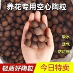 陶粒养花专用通用型花盆园艺垫底空心多肉颗粒家庭园艺花卉基质