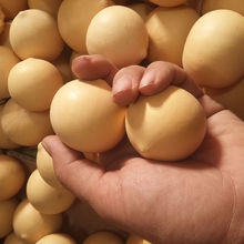 �����u�����J������殐�ΈA���J�[���ղ�����JС̖��̨�[������