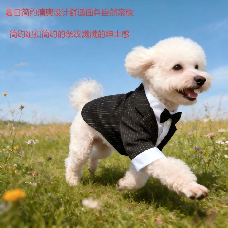 Summer Thin Dog Suit Dress, Teddy Cat Suit Shirt, Pet Spring and Summer Wedding Photo Shoot Stylish Outfit