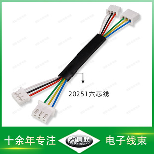 20251��о��ƽ�� ��о�Ԓ��20251�A��20251��о������C�B�Ӿ�