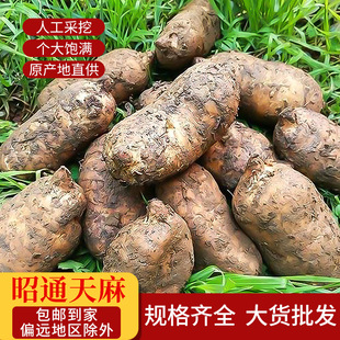 ���r���������ͨС�݉�������F���������a��ș���������r���l