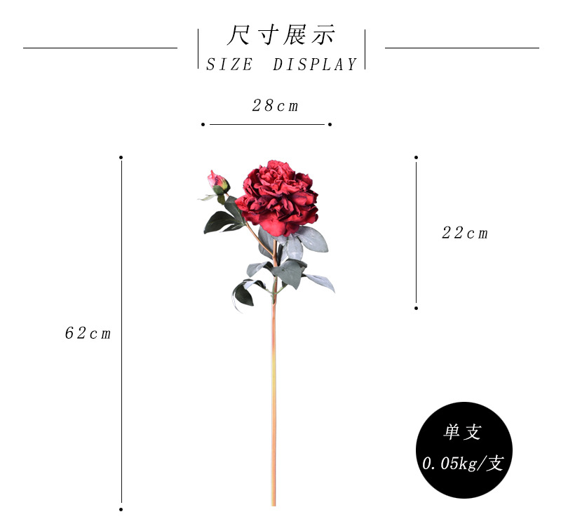 尺寸展示-红色.jpg