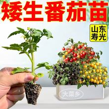 �ļ����������Է���������ҷ����̨�Nֲ�}Ů���t�S���^�pʳ��