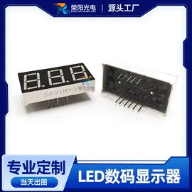 LED数码管;显示器件