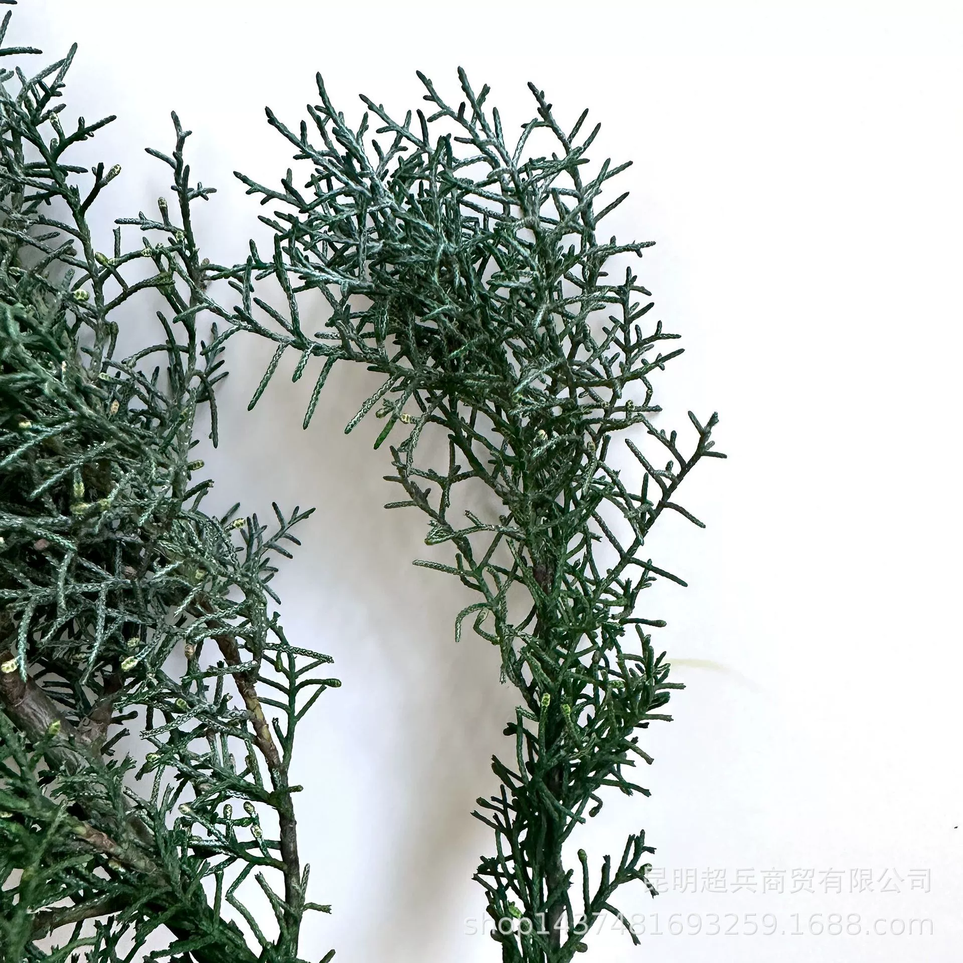 [Снежинка] Ель Christmas сосна вечные котики рога, сосна, снежинки, листья сосны и цветы