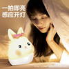 silica gel Night light Pat lights children girl student bedroom Bedside sleep Atmosphere led Table lamp festival gift