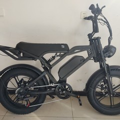 新エネルギー電動自転車電動アシスト自転車 2.0inch ファットタイヤスノービーチオフロード v8 電動バイクフロントとリアスープ