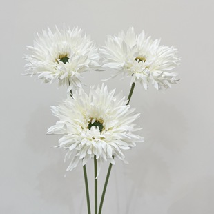 ���滨�����z���ʷ��޾�̫ꖻ���ˇ�OӋ���յ��ߙ����ٻ��b�