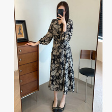 2026�����¿���|�@����⾫�����L���黨V�I�������L���B��ȹ