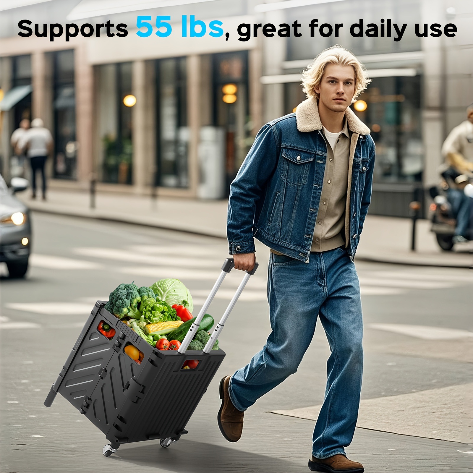 55 lbs High Load Bearing Rolling Cart 45L Large Capacity Transfronterizo