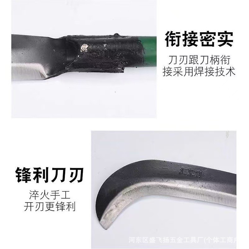 微信图片_20250708094929.jpg